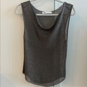 Zara Metallic See Through Top